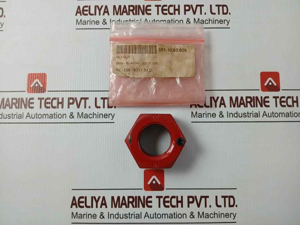 Man 300.01.026 Rud Rm Eye Nut