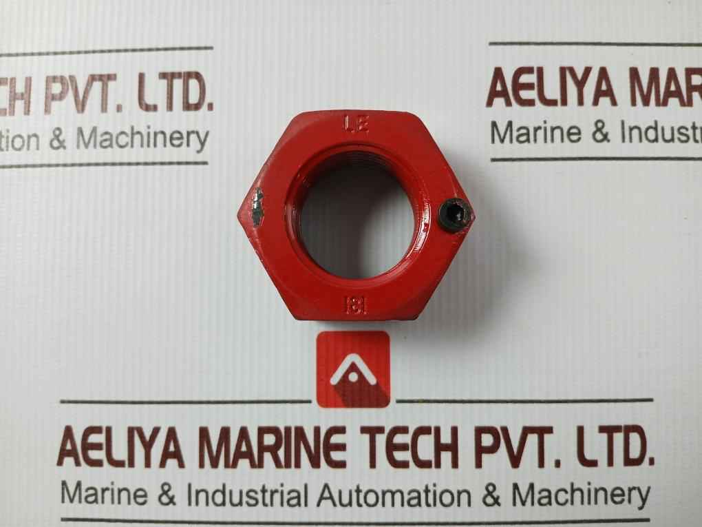 Man 300.01.026 Rud Rm Eye Nut