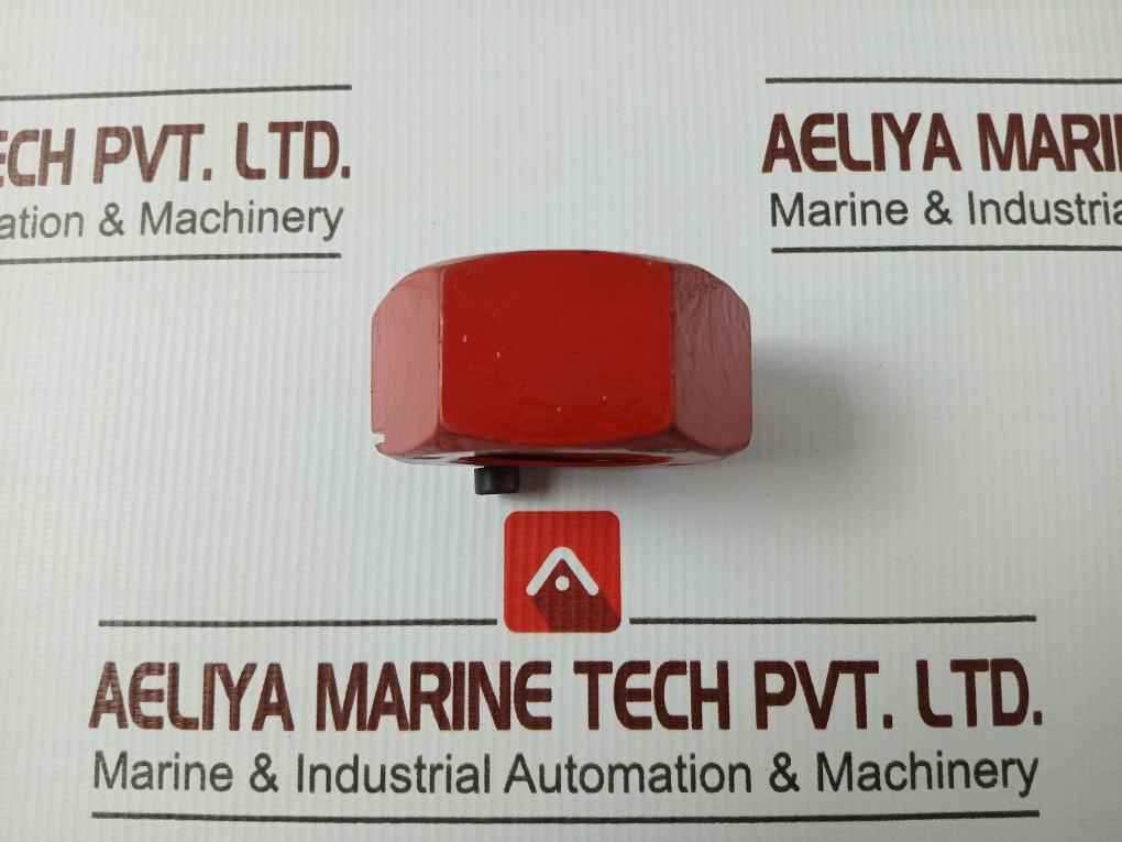 Man 300.01.026 Rud Rm Eye Nut