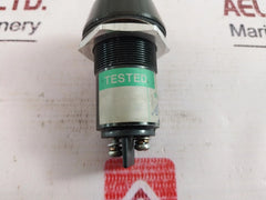 Marl 110Vac Red Panel Mount Indicator