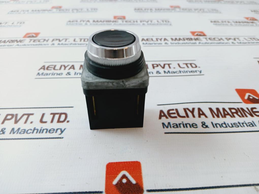 Maruyasu Dengyo Cp-1B Push Button Switch 10A 600V