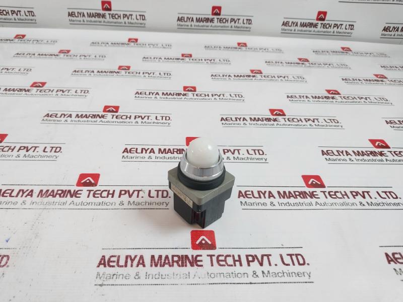 Maruyasu Electric Pl-100W-c Led Pilot Light 100/110V 18V 2W