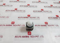 Maruyasu Electric Pl-100W-c Led Pilot Light 100/110V 18V 2W