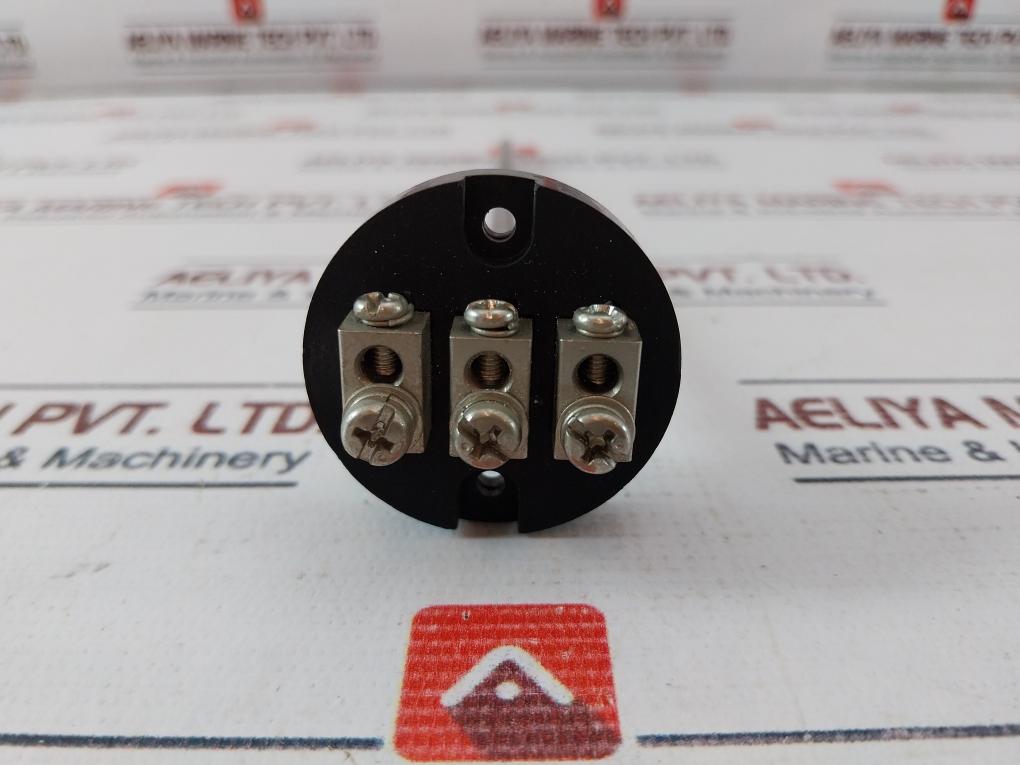 Meiyo Electric Ptr-n7 Thermo Resistance Bulb L-230Mm, D-6Mm