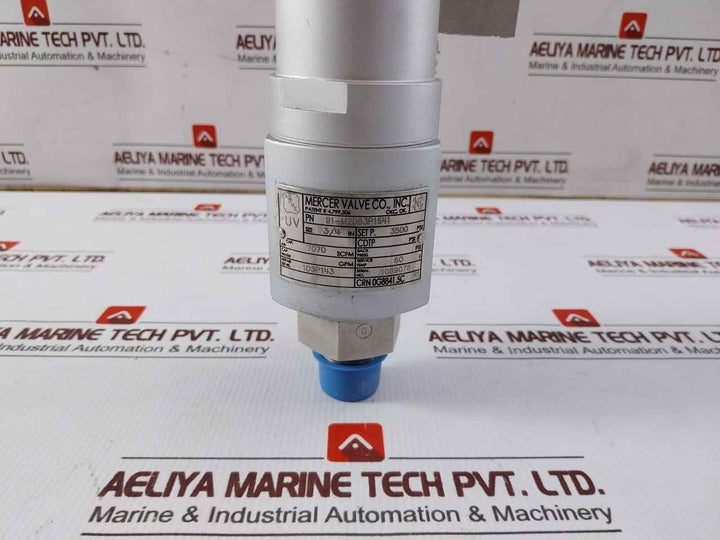 Mercer 91-m2D63P1641 Pressure Relief Valve 3/4In 3500 Psi Air 7070 Scfm