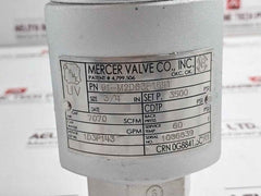Mercer 91-m2D63P1641 Pressure Relief Valve 3500 Psi