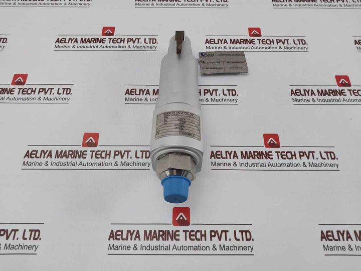 Mercer Valve 91-m2D63P1641 3/4-inch Safety Relief Valve 3500Psi Crn 0G8841.5C R1