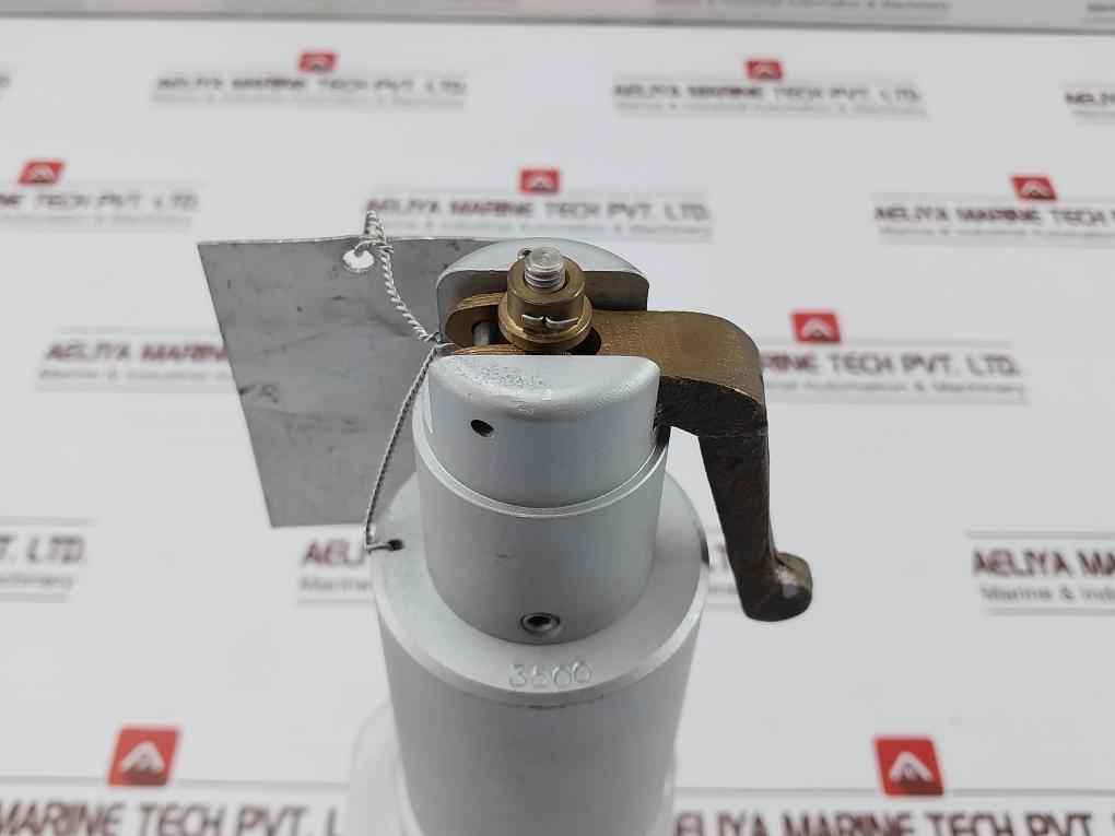 Mercer Valve 91-m2D63P1641 3/4-inch Safety Relief Valve 3500Psi Crn 0G8841.5C R1