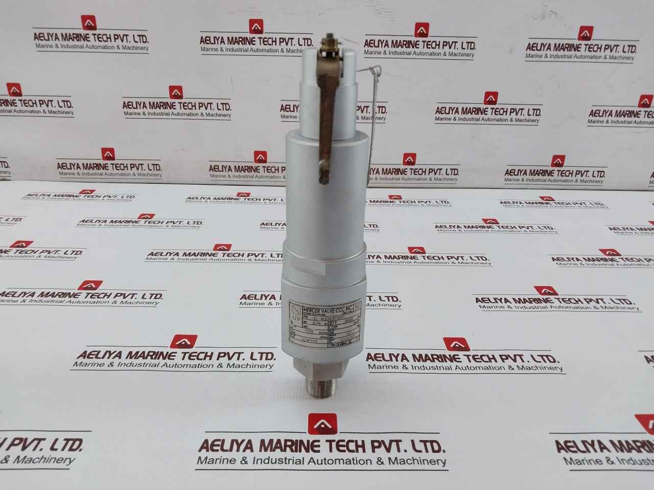 Mercer Valve 91-m2D63P1641 3/4-inch Safety Relief Valve 3500Psi Crn 0G8841.5C R1