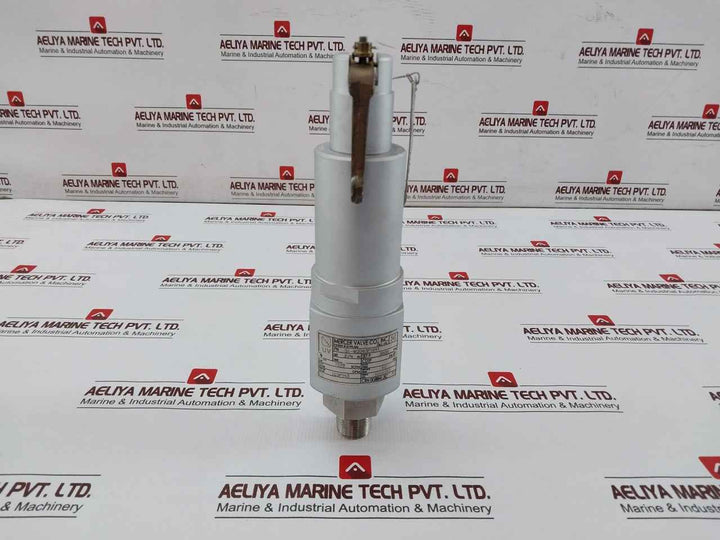 Mercer Valve 91-m2D63P1641 3/4-inch Safety Relief Valve 3500Psi Crn 0G8841.5C R1