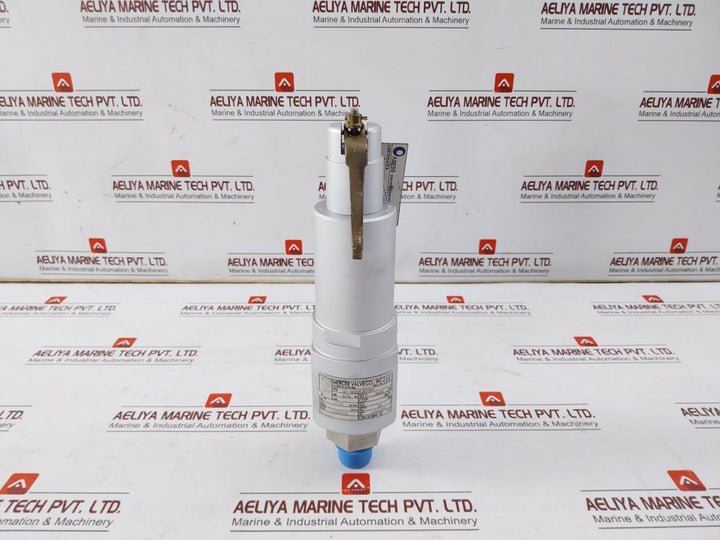 Mercer Valve 91-m2D63P1641 3/4-inch Safety Relief Valve Crn 0G8841.5C R1 3500Psi