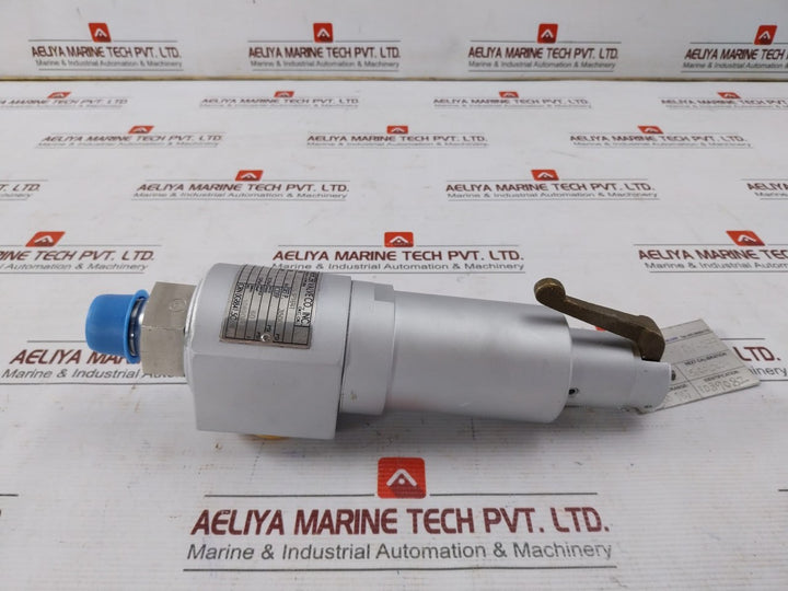Mercer Valve 91-m2D63P1641 3/4-inch Safety Relief Valve Crn 0G8841.5C R1 3500Psi