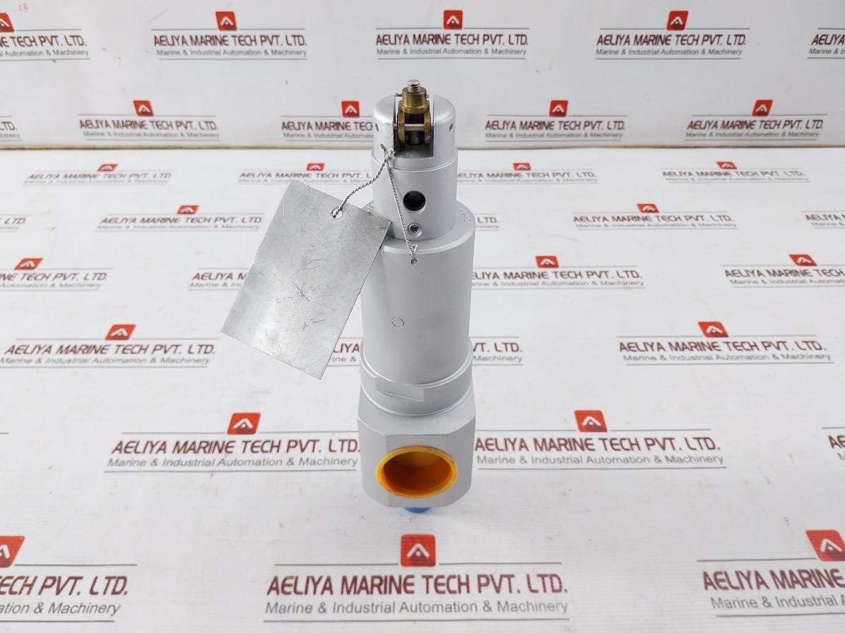 Mercer Valve 91-m2D63P1641 3/4-inch Safety Relief Valve Crn 0G8841.5C R1 3500Psi