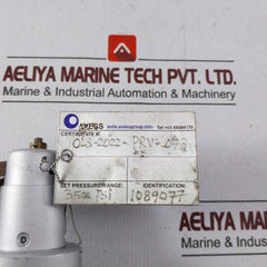 Mercer Valve 91-m2D63P1641 Pressure Relief Valve 3/4" 3500 Psi 7070 Scfm