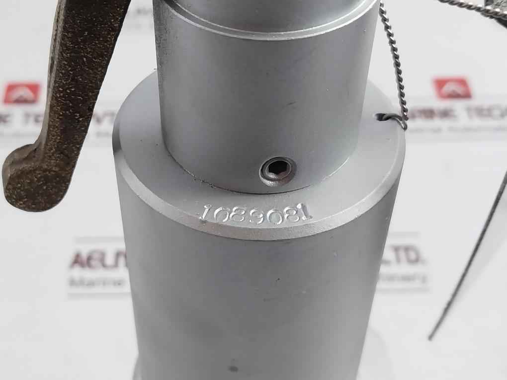 Mercer Valve 91-m2D63P1641 Safety Relief Valve 3/4 In 1D3P143 3500 Psi