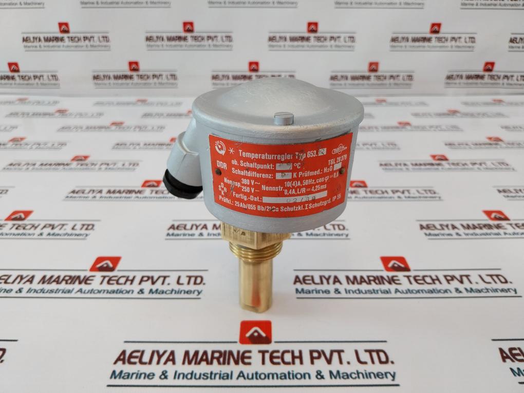 Mertik 653.52 Temperature Regulator Ip55