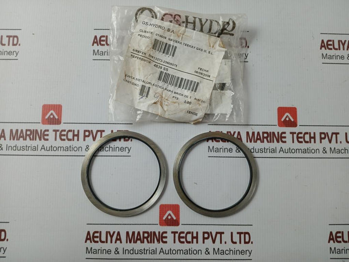Metal Plastic Gasket Gs-hydro 4839 Ss