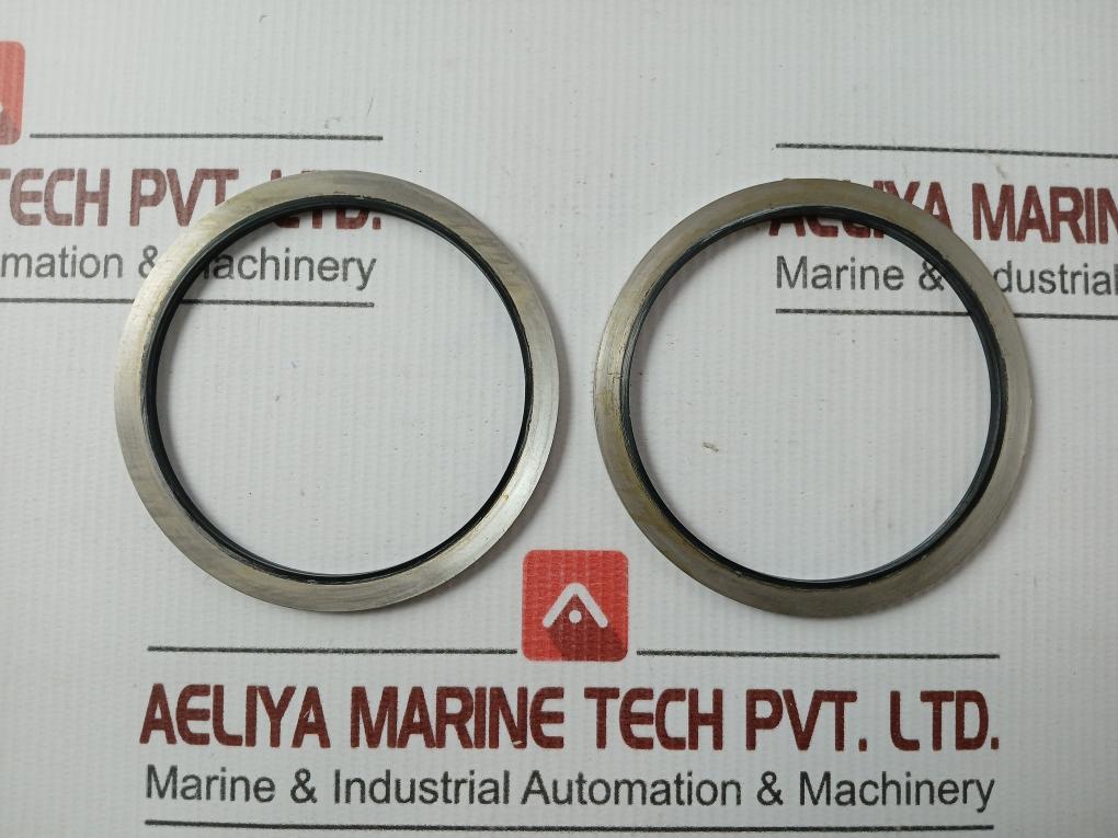 Metal Plastic Gasket Gs-hydro 4839 Ss