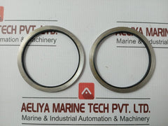 Metal Plastic Gasket Gs-hydro 4839 Ss