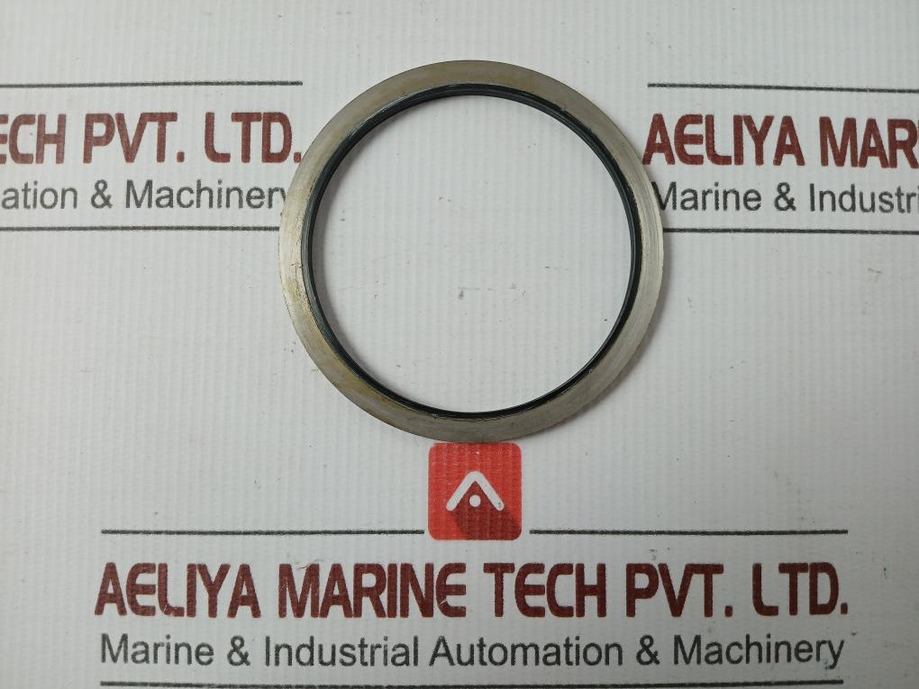 Metal Plastic Gasket Gs-hydro 4839 Ss