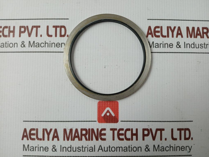 Metal Plastic Gasket Gs-hydro 4839 Ss