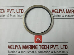 Metal Plastic Gasket Gs-hydro 4839 Ss