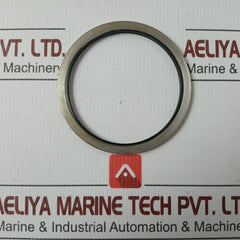 Metal Plastic Gasket Gs-hydro 4839 Ss