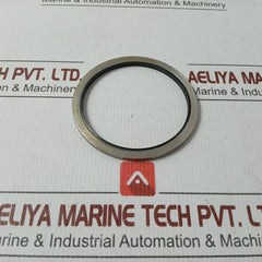 Metal Plastic Gasket Gs-hydro 4839 Ss