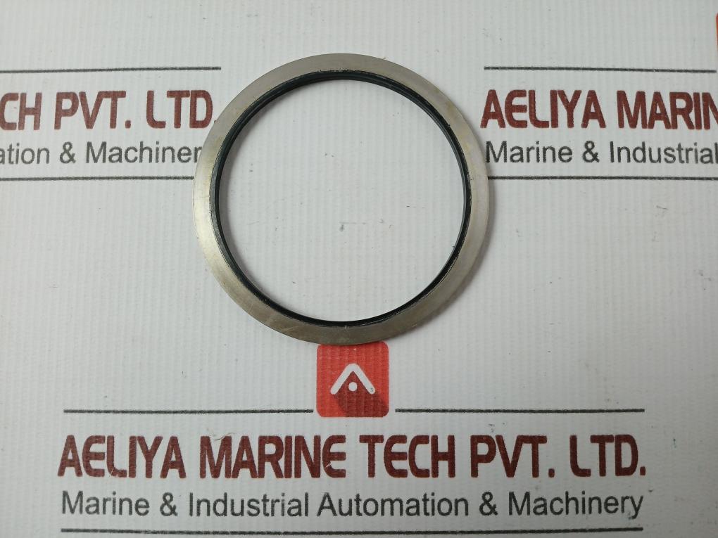 Metal Plastic Gasket Gs-hydro 4839 Ss