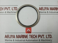 Metal Plastic Gasket Gs-hydro 4839 Ss