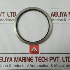 Metal Plastic Gasket Gs-hydro 4839 Ss