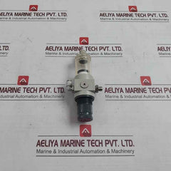 Metal Work 0-2 Bar Pneumatic Pressure Regulator