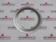 Metallic Spiral Wound Gasket Econosto 316l-Fg In New