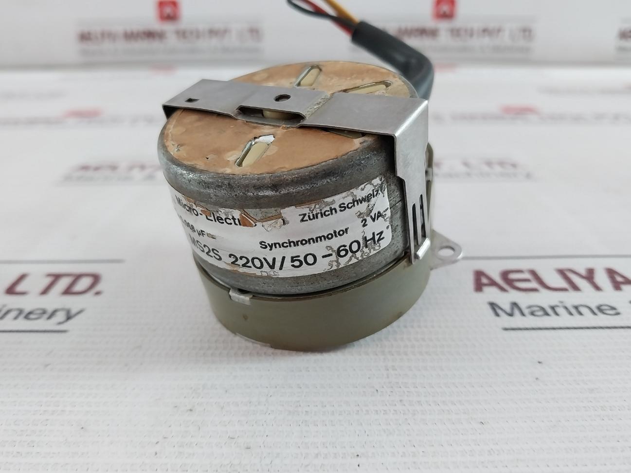 Micro-electric Ms2S Synchronmotor 220V/50-60Hz