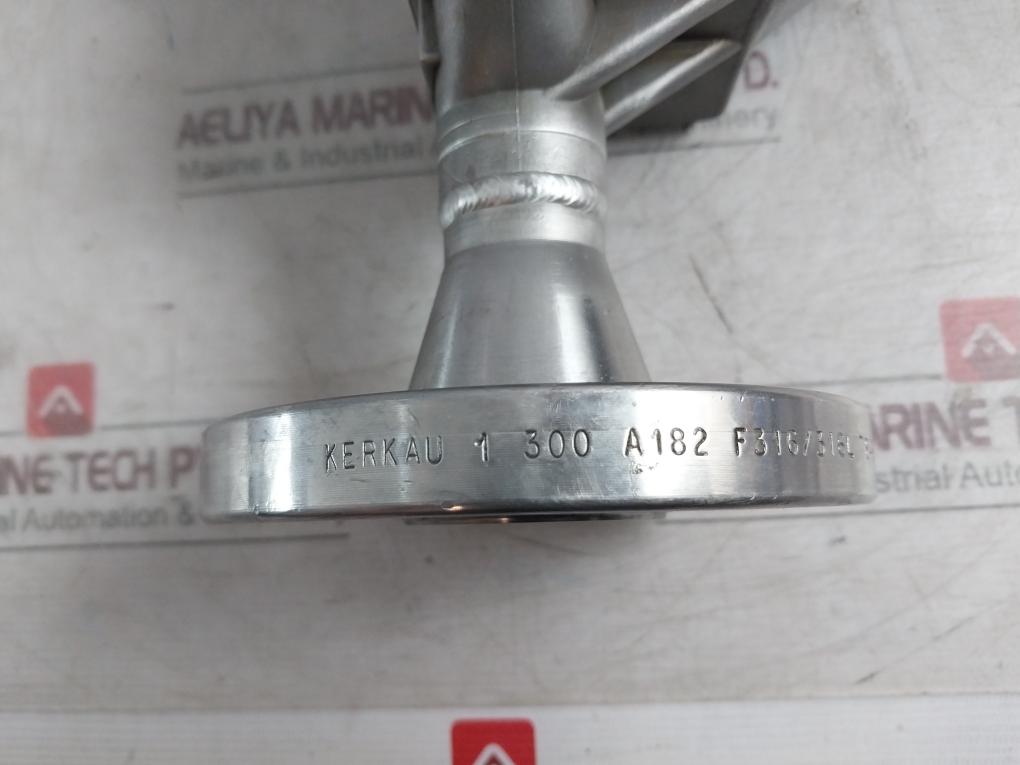 Micro Motion F100A129Crazez1Zz Mass Flow Sensor 276.124.67 Rev: Aa 50Bar 25 C