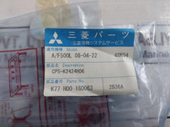 MICRON CPS-K2424CH06 Resistor
