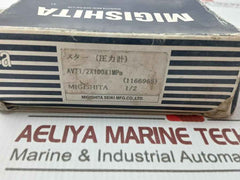 Migishita Jq0507048 Pressure Gauge 0–1 Mpa Avt1/2