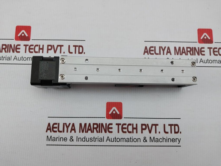 Mini Linear Rail Ball Screw Actuator Fsk30T2E100Bcb35 Fuyu Technology