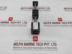Mini Linear Rail Ball Screw Actuator Fsk30T2E100Bcb35 Fuyu Technology