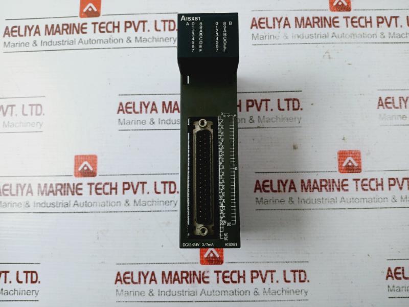 Mitsubishi Electric A1sx81 Input Unit Dc12/24v Class 2 Only
