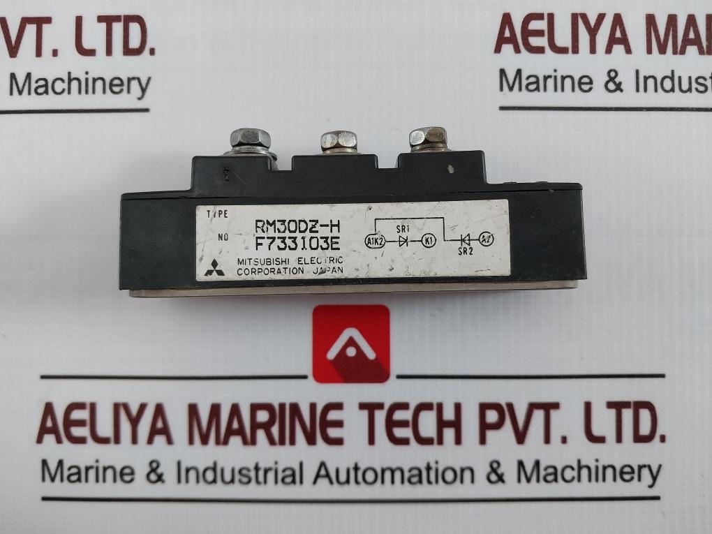 Mitsubishi Electric Rm30Dz-h Igbt Transistor Module F733103E