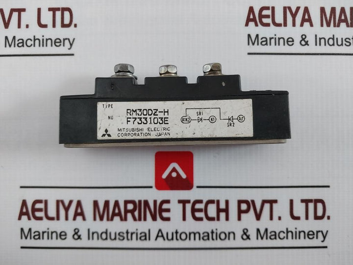 Mitsubishi Electric Rm30Dz-h Igbt Transistor Module F733103E