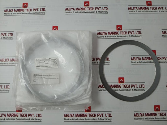 Mitsumoto Gasket For Swing Check Valve Wcb 900Lb 6