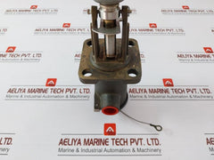 Mobrey Magnetic Level Switch S01D/F83