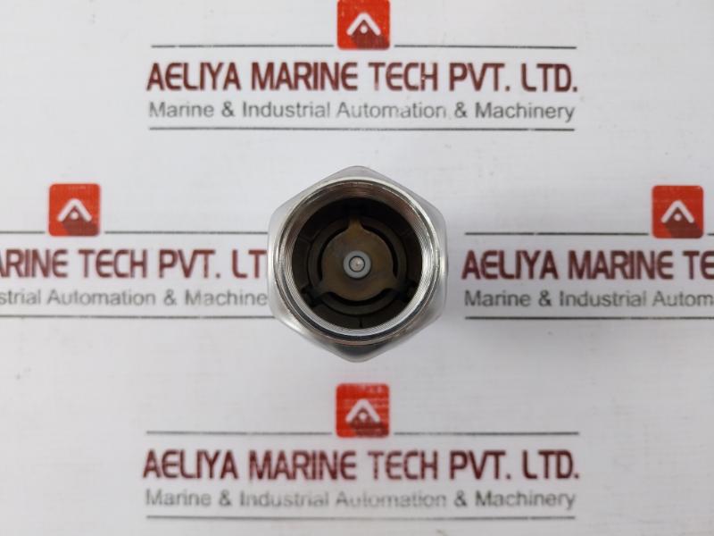 Mondeo Idrja Dn25 Stainless Steel Non-return Valve -1”