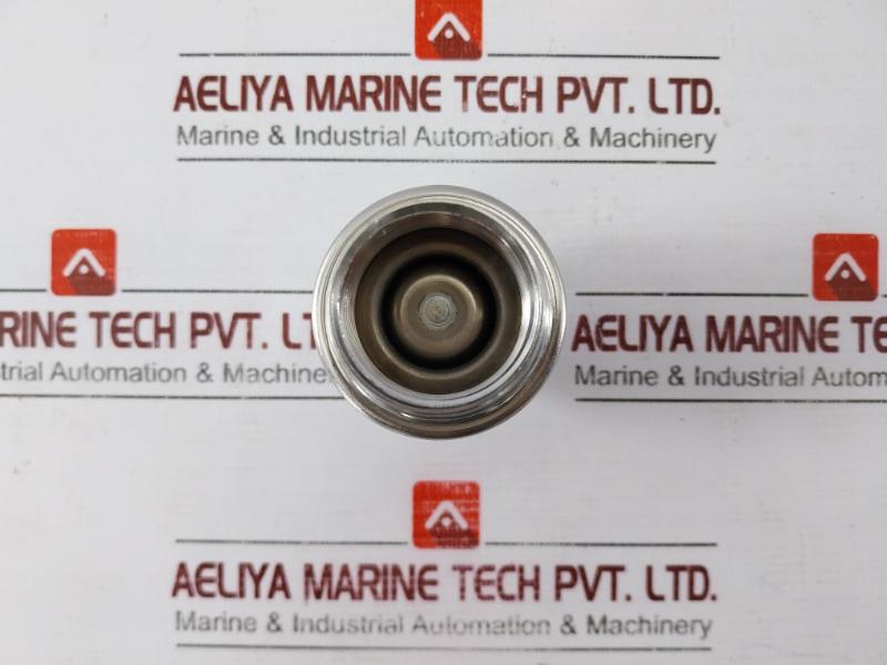 Mondeo Idrja Dn25 Stainless Steel Non-return Valve -1”