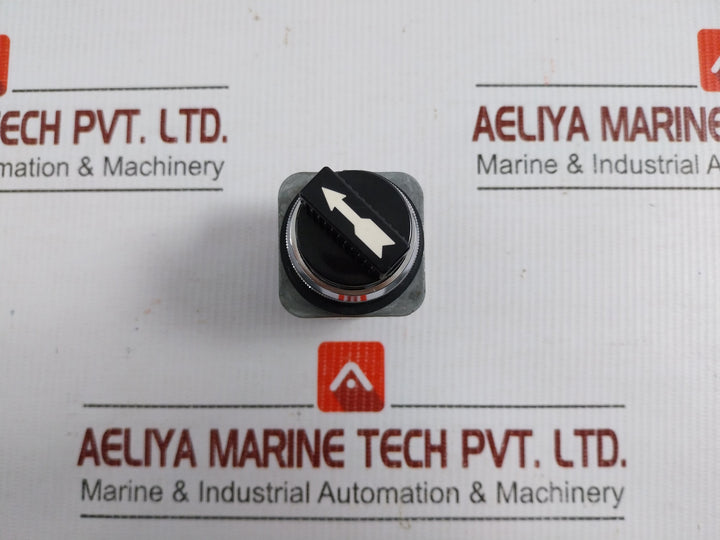Ms2-Selector-Switch-Maruyasu-Dengyo-600v-10a-2