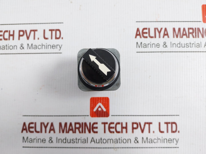 Ms2-Selector-Switch-Maruyasu-Dengyo-600v-10a-3