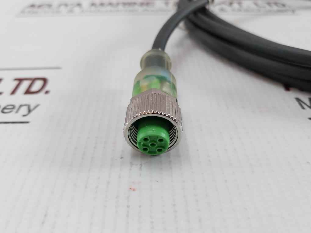 Murrelektronik 7000-12281-6230300 Connector Cable 3 Meter Awg 22