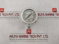 Nagano Keiki 0 To 25 Mpa Pressure Gauge Bu 1/4 60X25 Mpkf 0-250 (Kgf/Cm2)